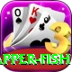 red snapper fish App