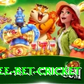 risk free bet cricket Turbo Pro v4.4.0
