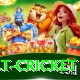 risk free bet cricket Turbo Pro v4.4.0