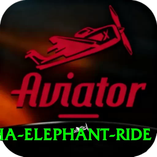 sauraha elephant ride Turbo Pro v3.8.4 - 2