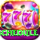 t20 schedule Premium Edition v2.8.3