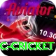 uc cricket Plus Edition v4.8.7