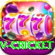 v cricket VIP Pro v2.1.2