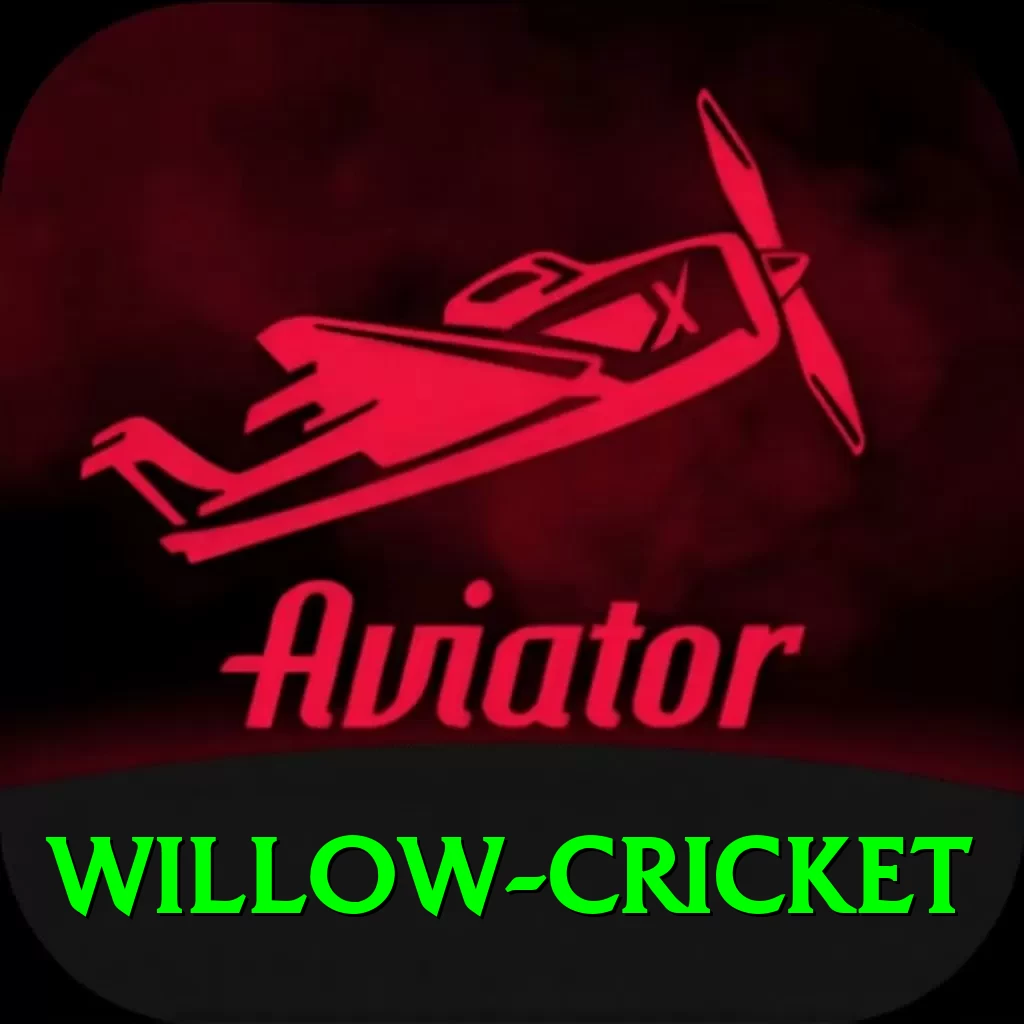 willow cricket Turbo Pro v4.6.8 - 2