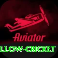willow cricket Turbo Pro v4.6.8