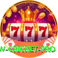 willow cricket - Casino Super