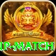 world cup match Pro1 v5.6.9