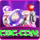 www smartcric com Games (Casino & Earning) Max v5.4.3